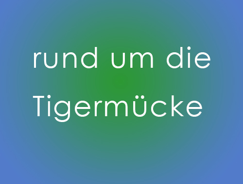Tigermuecke