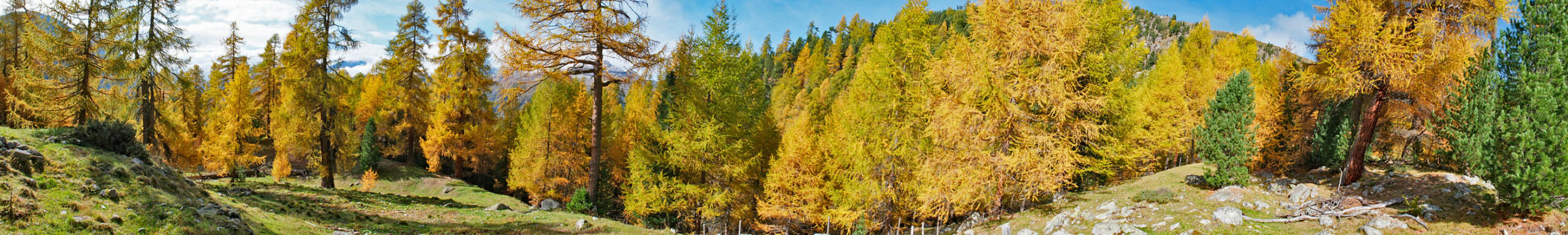wunderschöner Herbst 2026